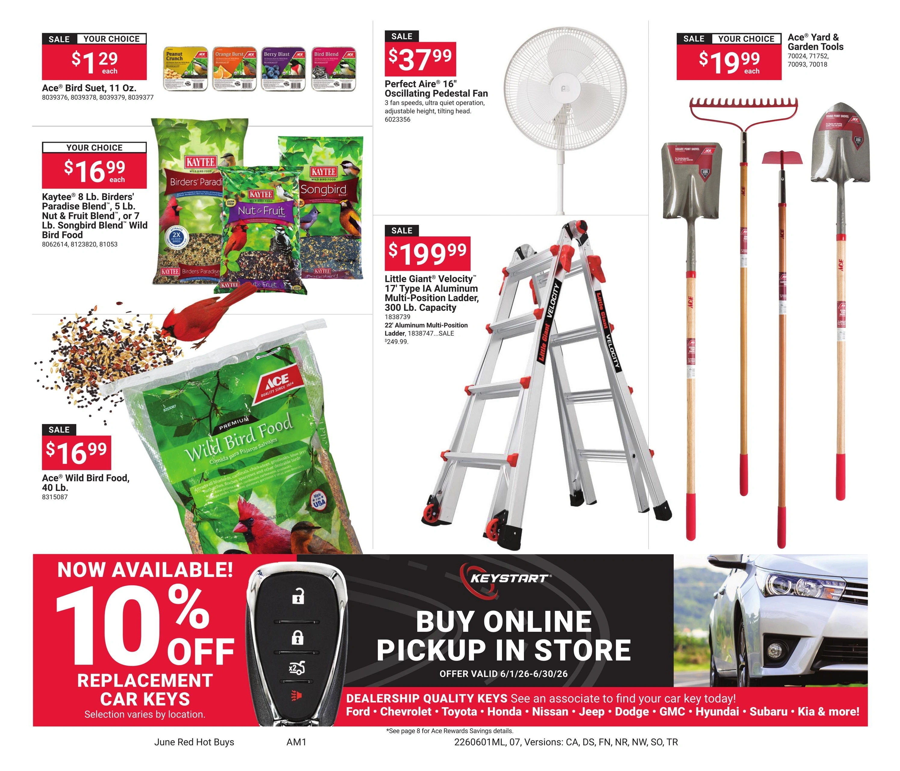 Ace Hardware flyer page 7