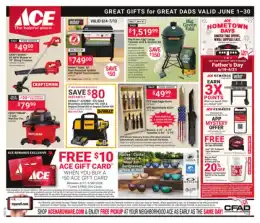 Ace Hardware Great Gifts for Dads
