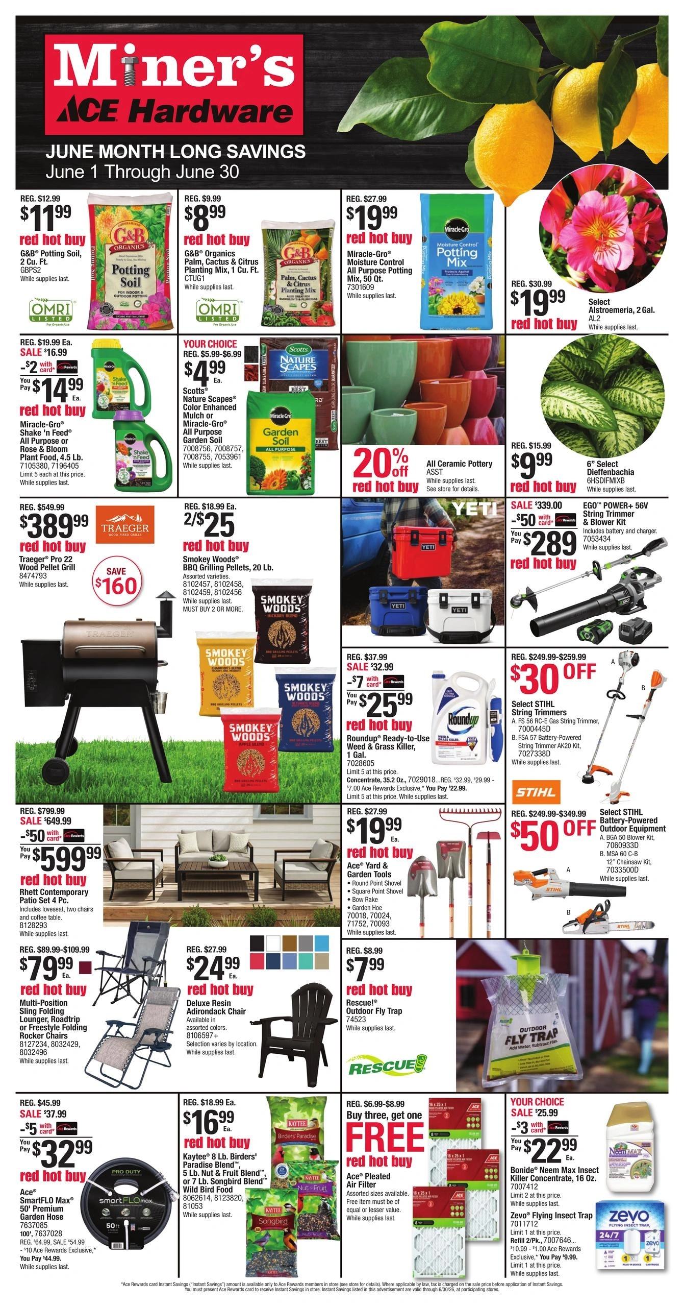 Ace Hardware flyer page 1
