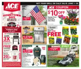 Ace Hardware Get Your Grill On