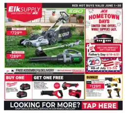 Ace Hardware June Red Hot Buys
