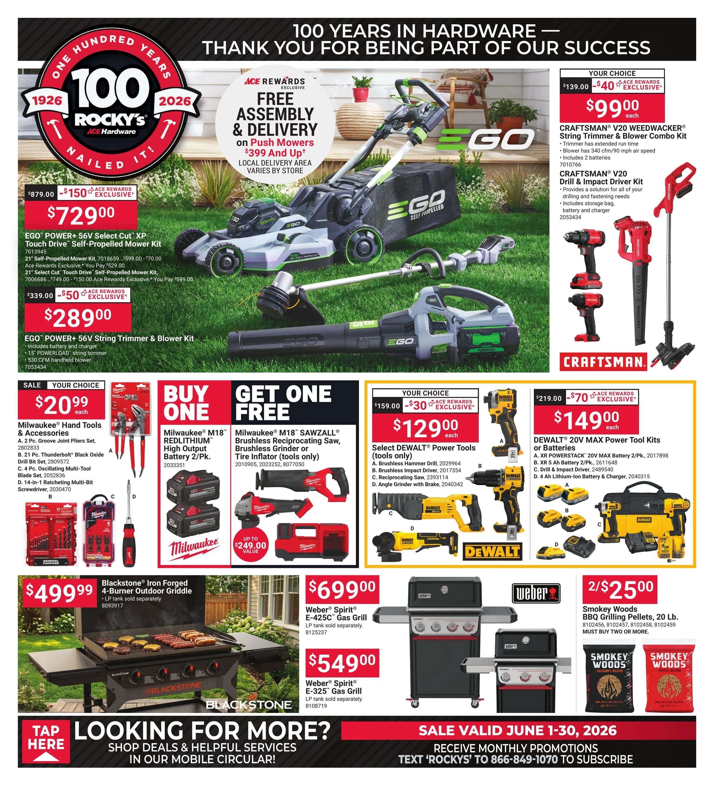 Ace Hardware flyer page 1