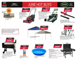 Ace Hardware June Hot Buys