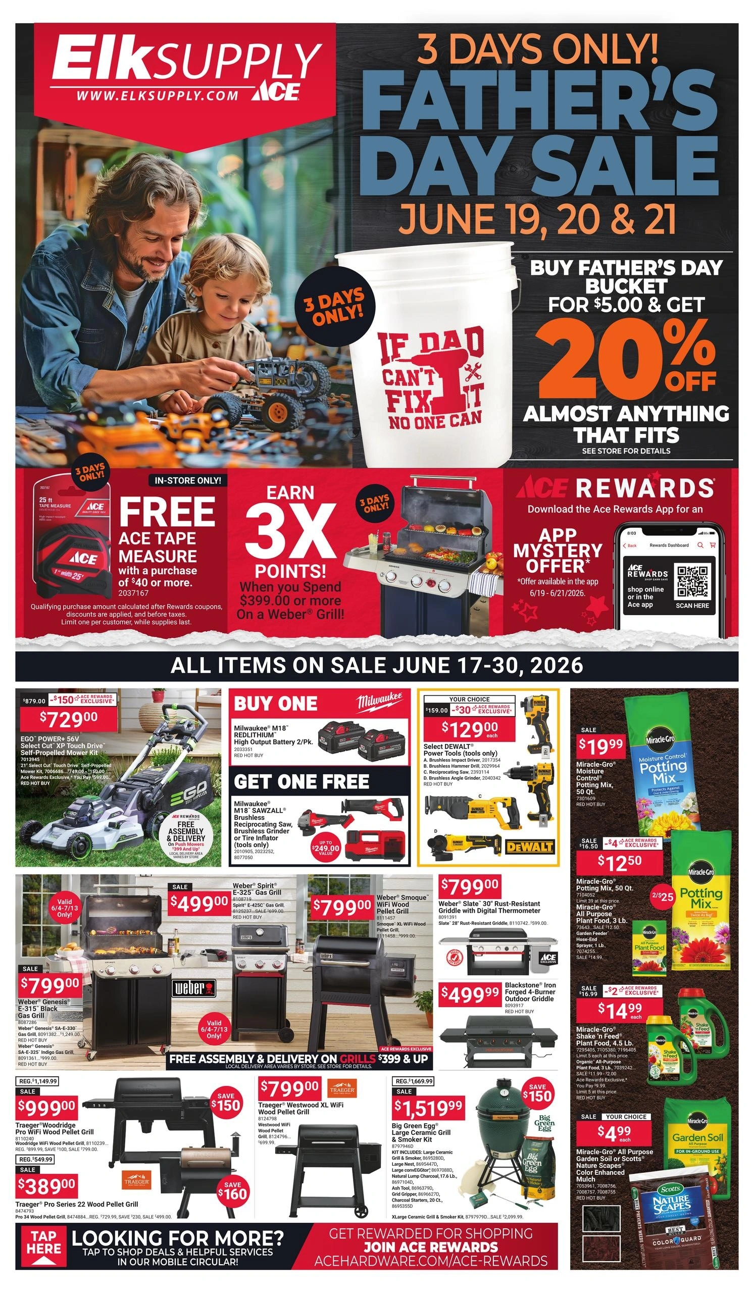 Ace Hardware flyer page 1