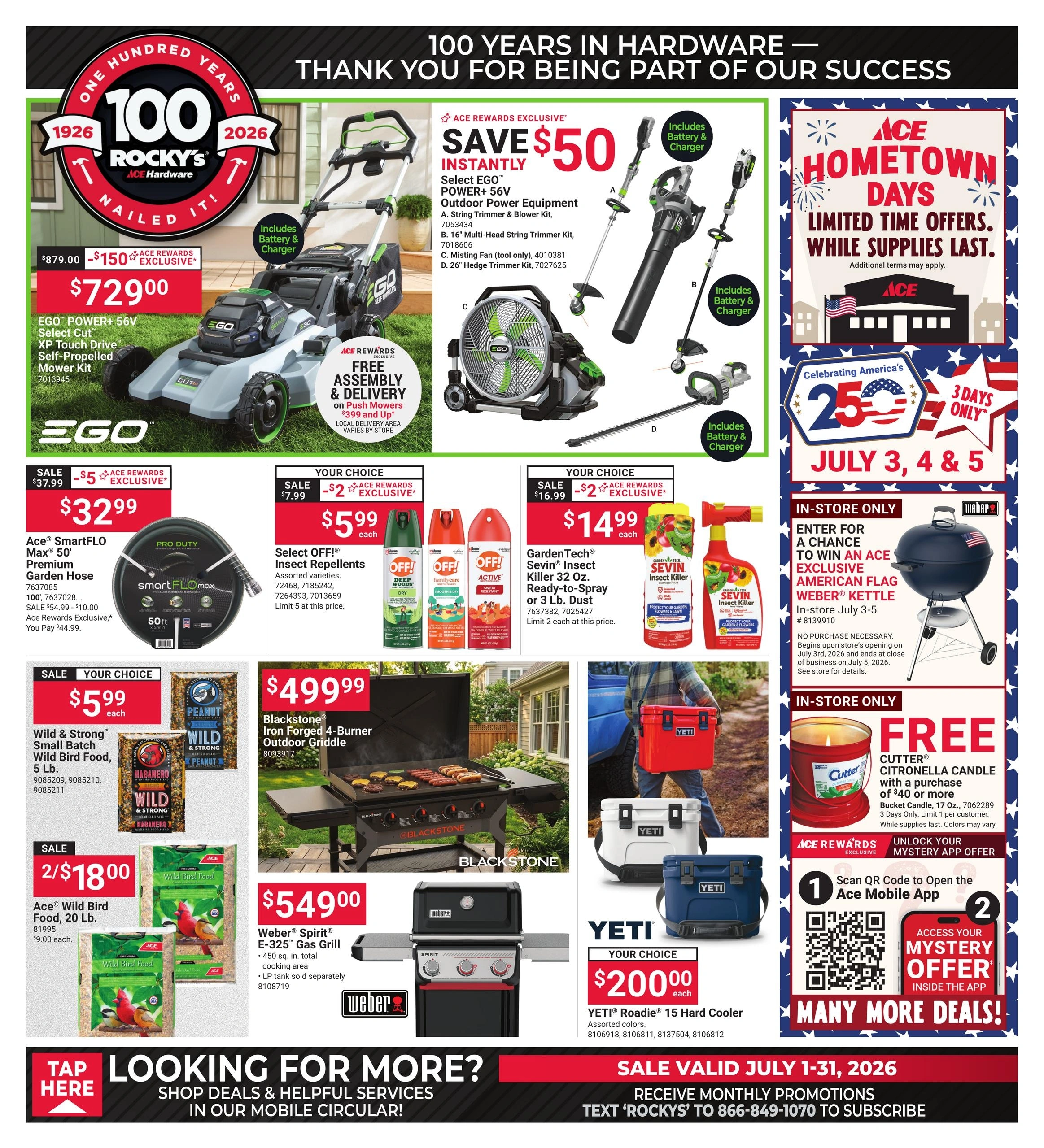 Ace Hardware flyer page 1