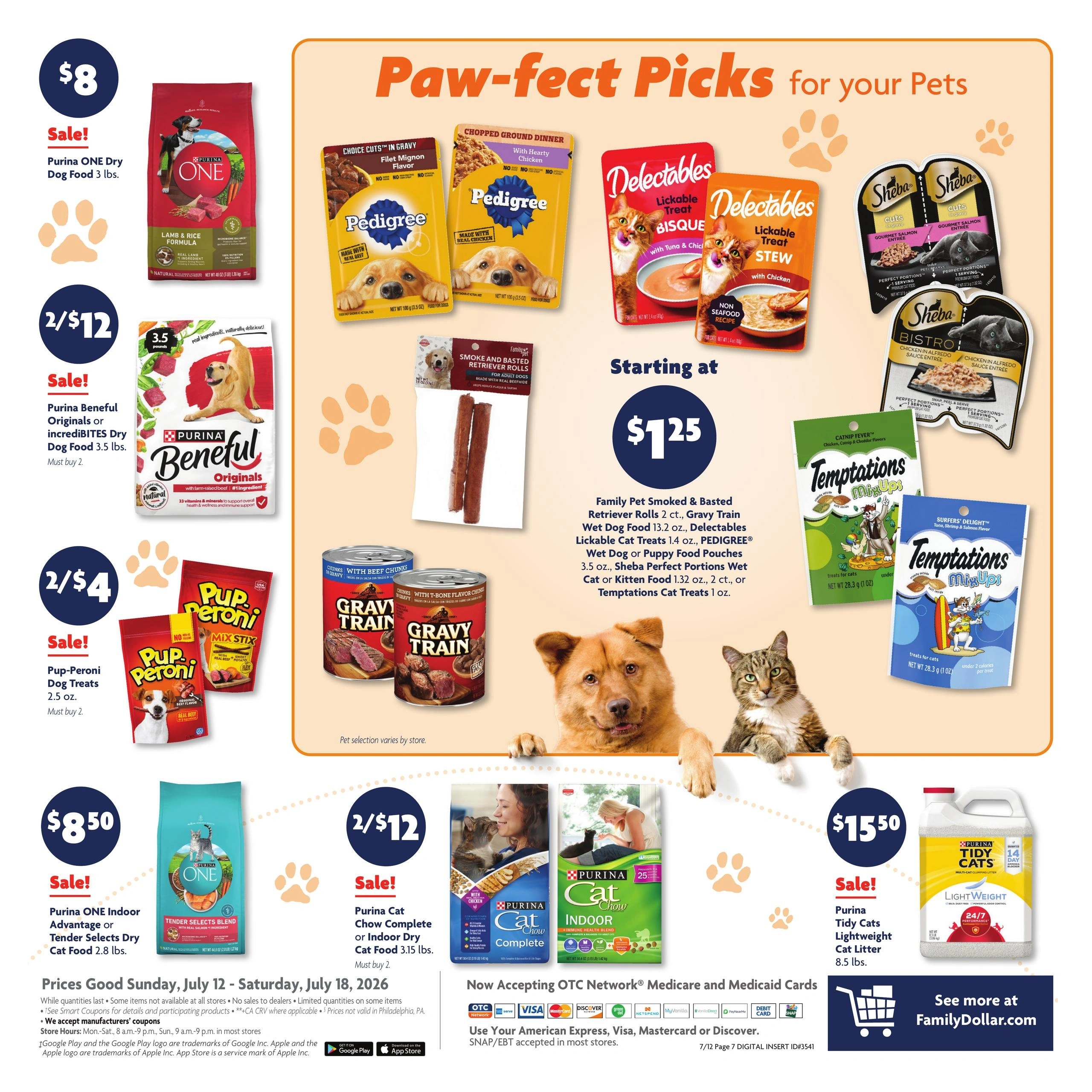 Family Dollar flyer page 13
