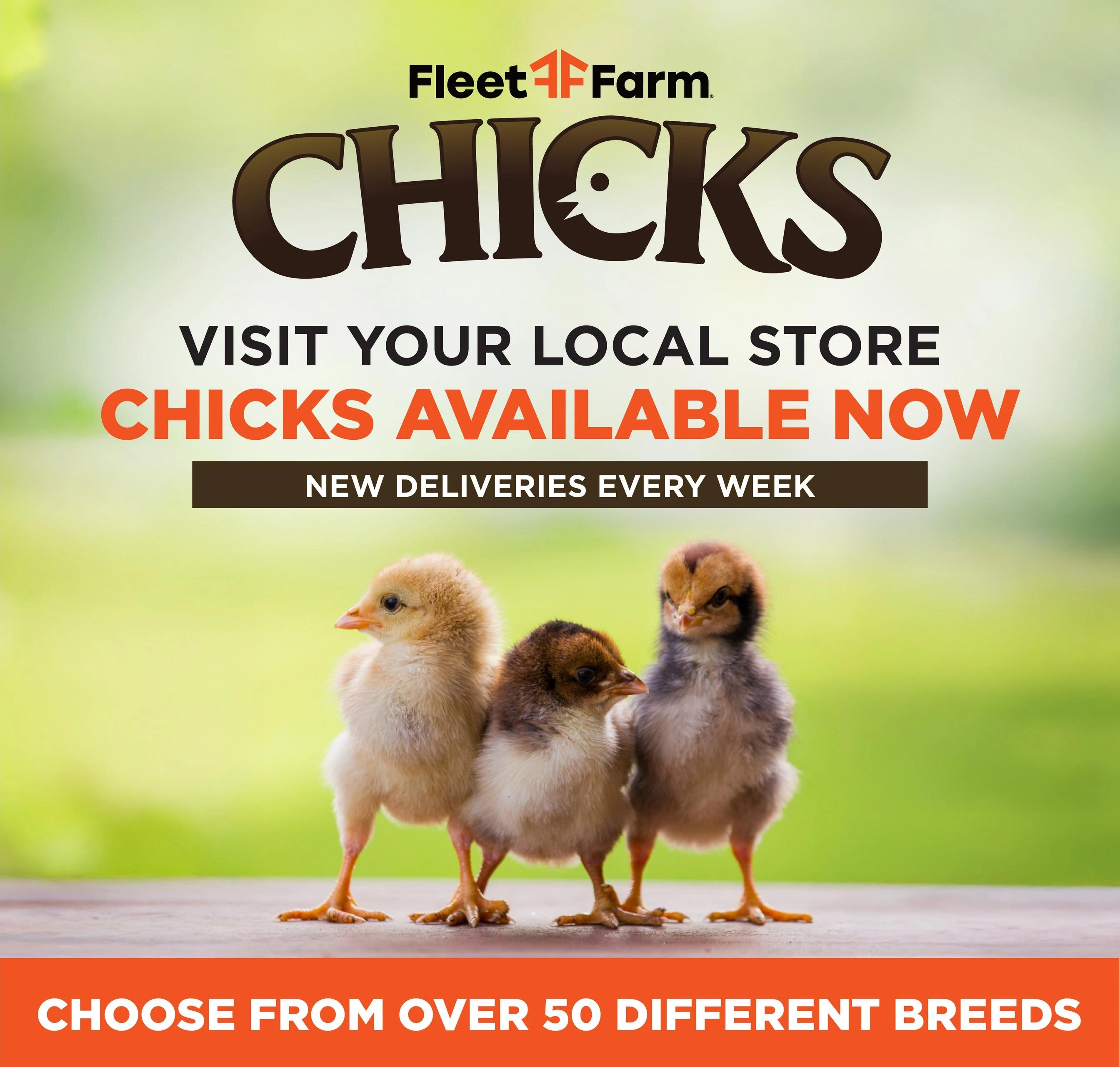 Fleet Farm flyer page 29
