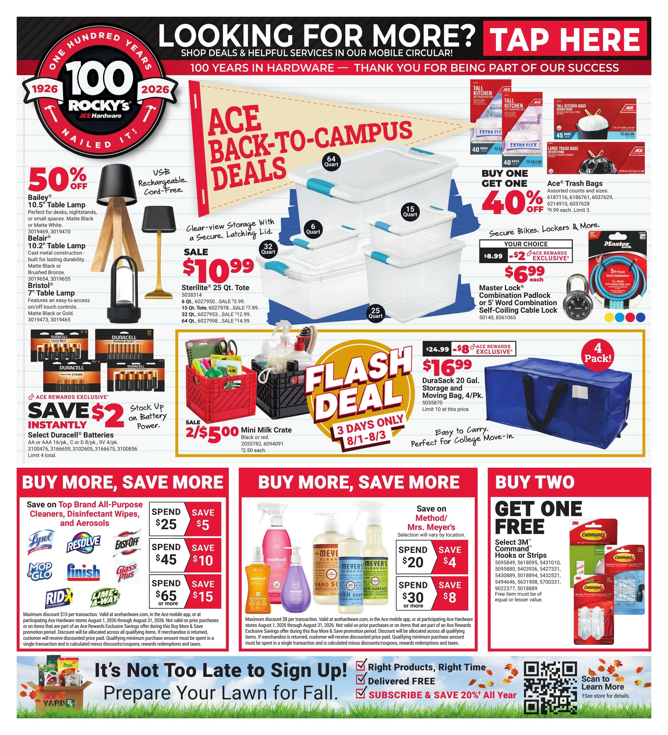 Ace Hardware flyer page 1