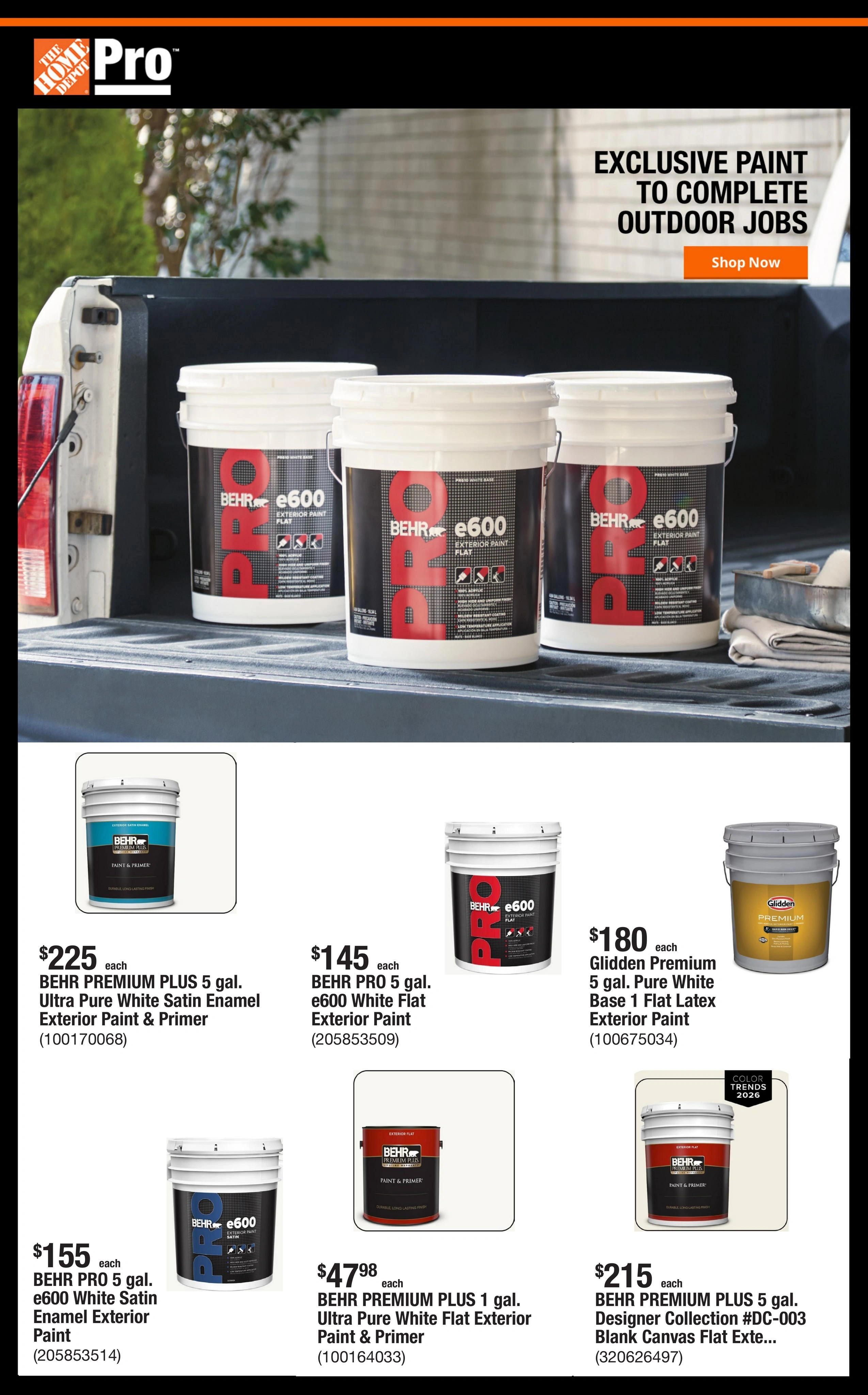 Home Depot flyer page 1