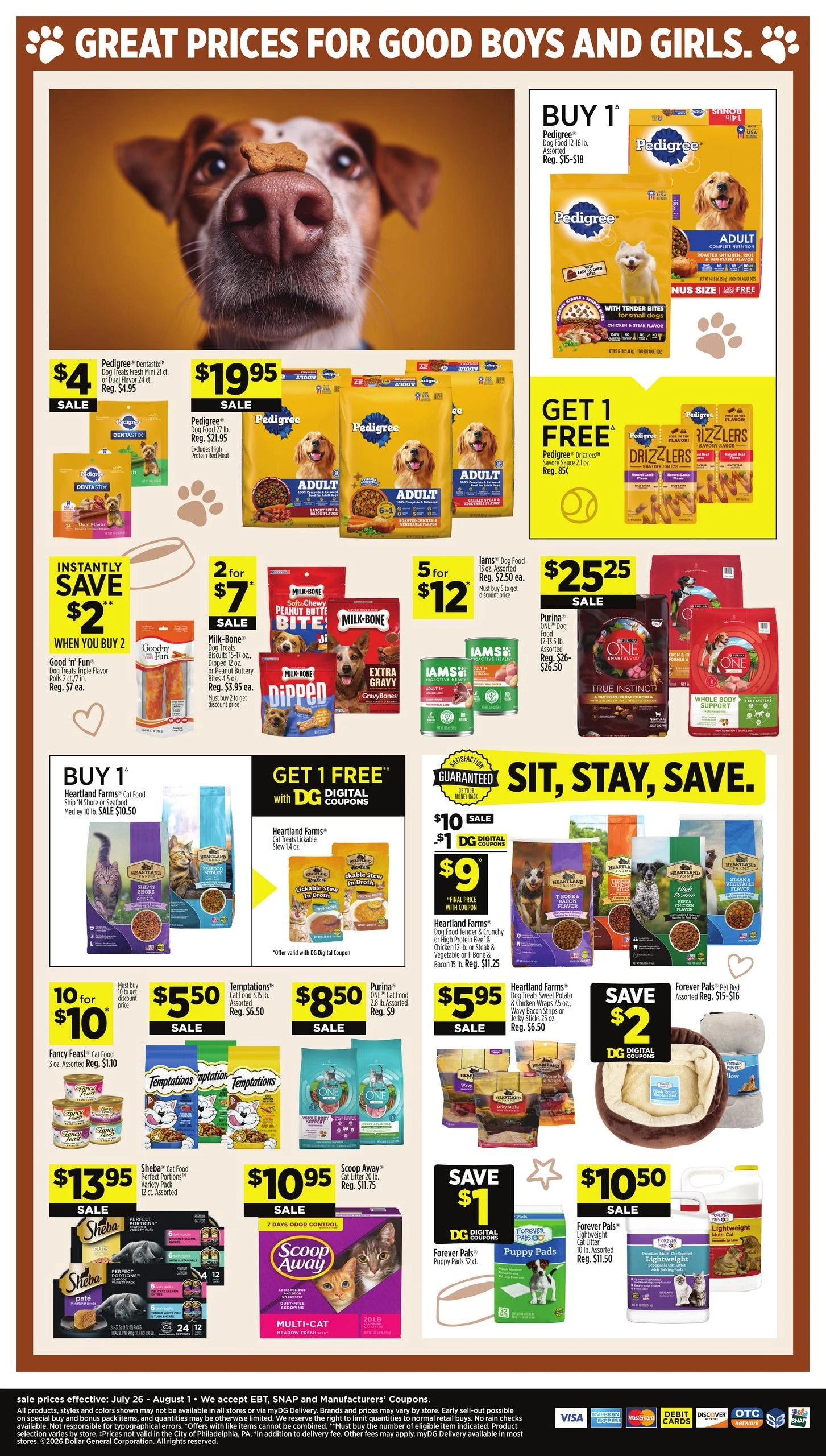 Dollar General flyer page 15