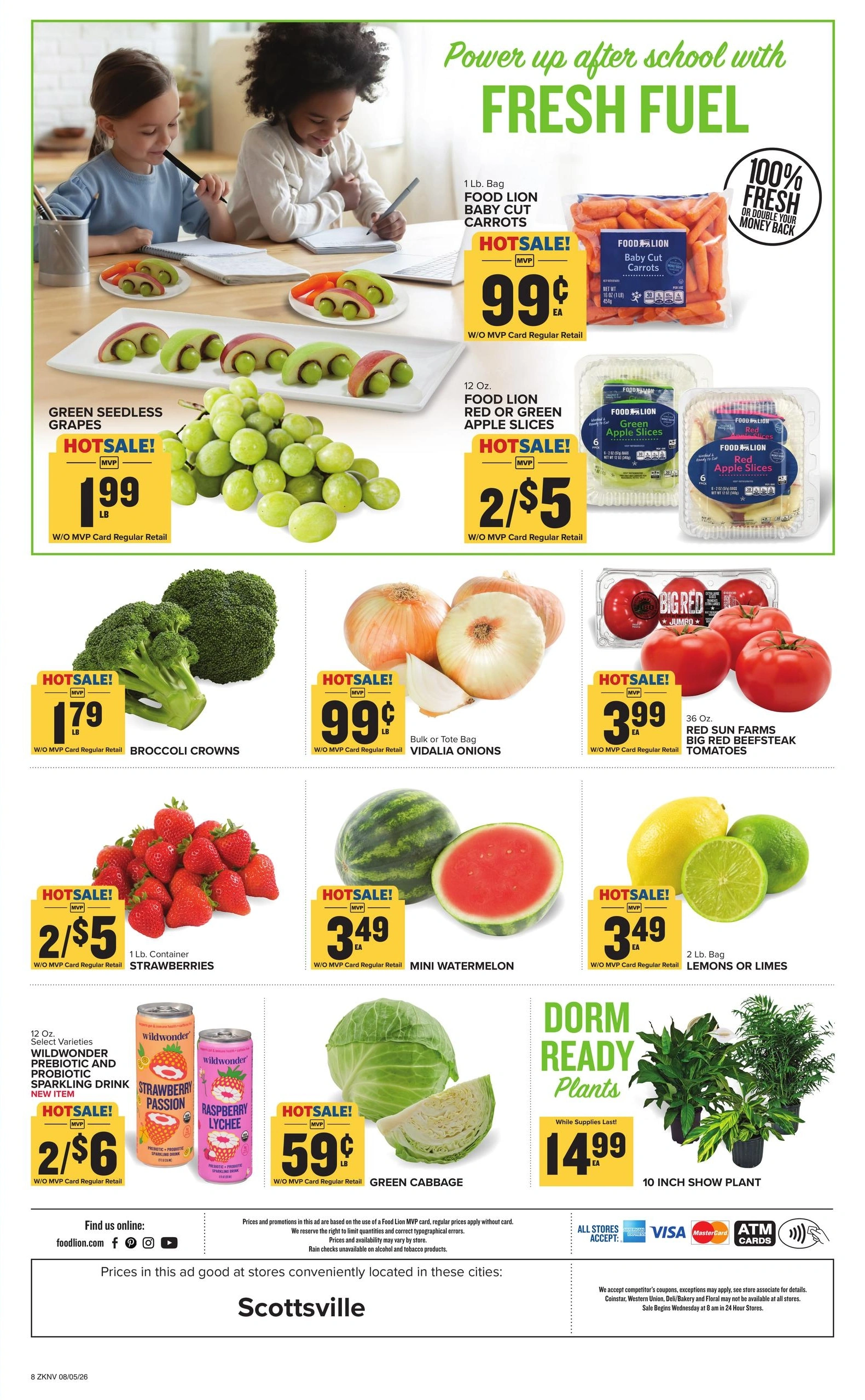 Food Lion flyer page 3