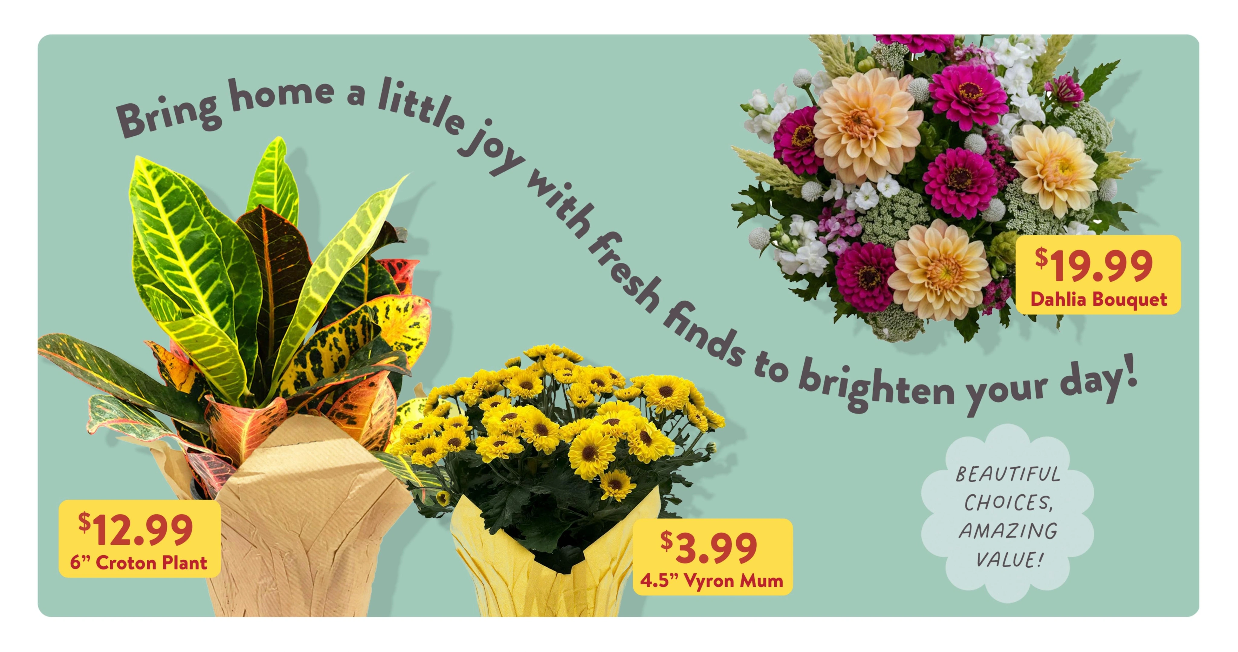 Fresh Thyme Market flyer page 7