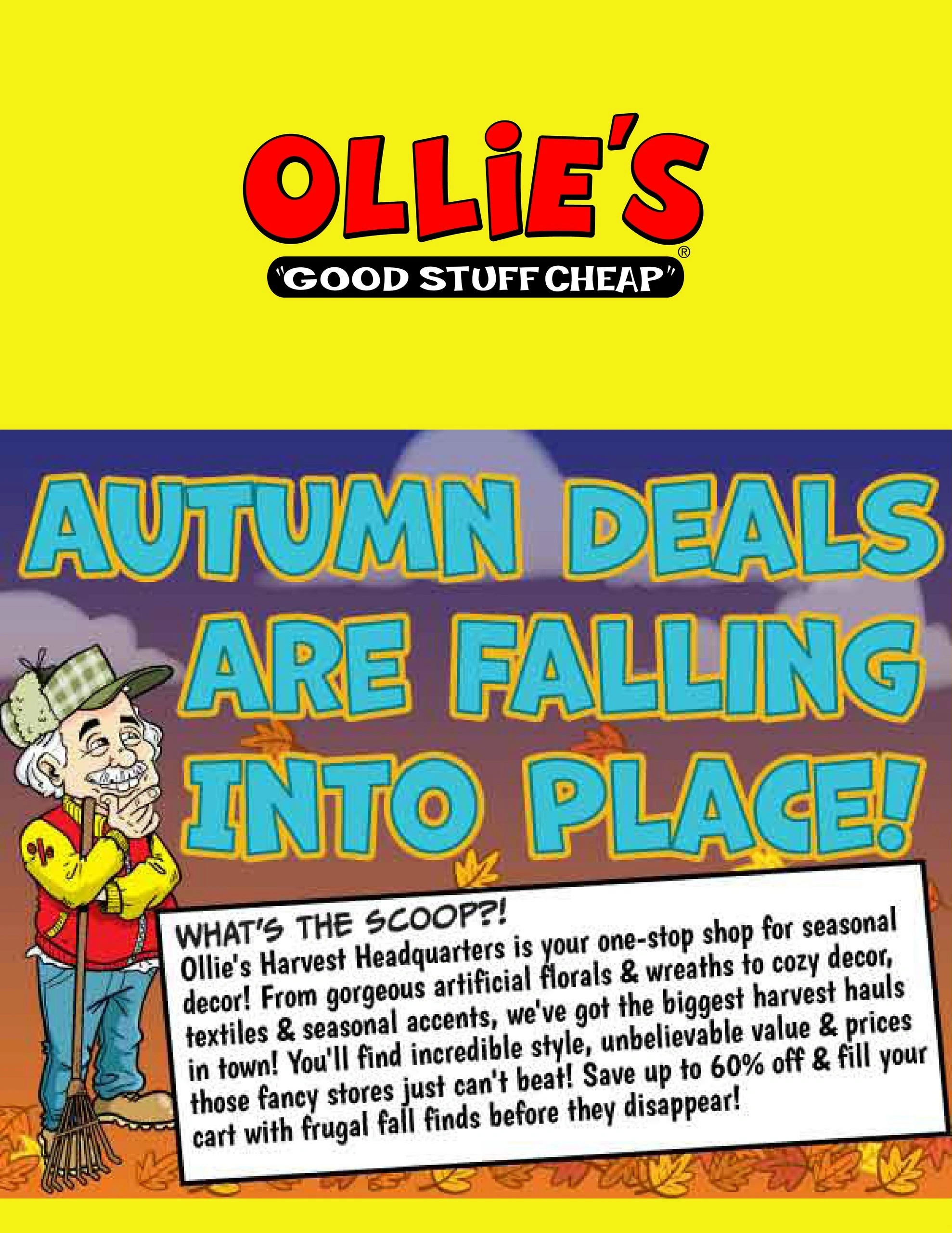 Ollie's Bargain Outlet flyer page 1