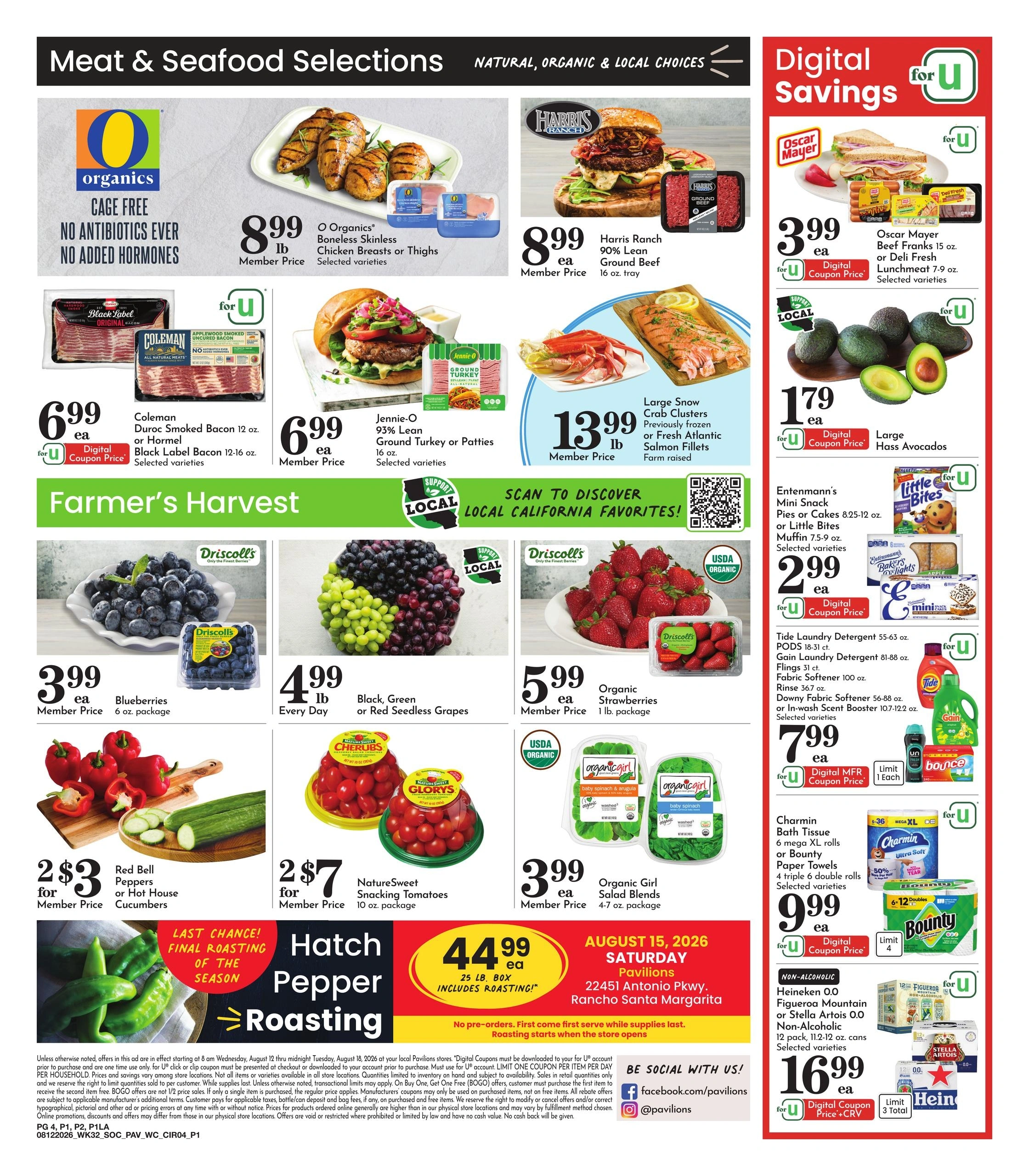 Pavilions flyer page 4