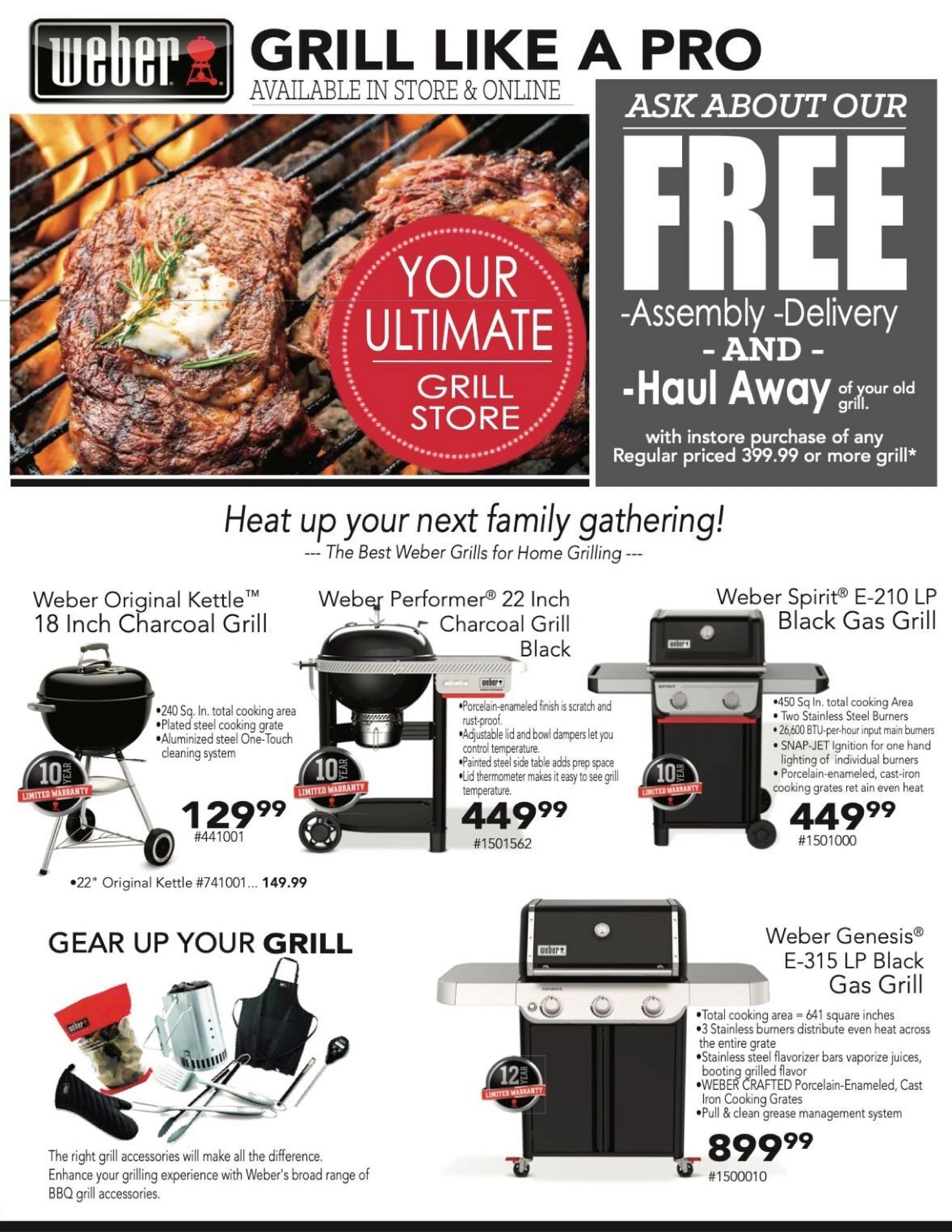 Stein's Garden and Home flyer page 6