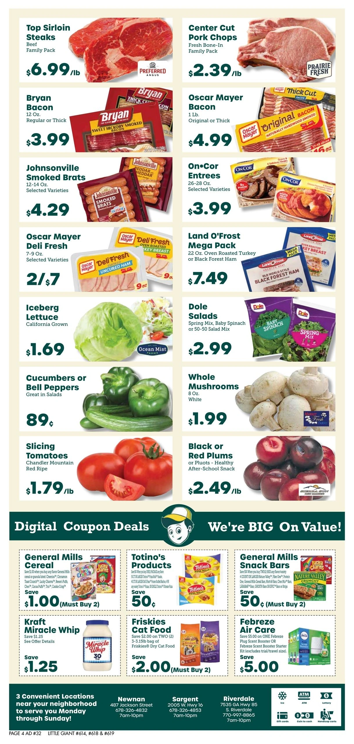 Little Giant flyer page 4