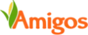 Amigos United logo