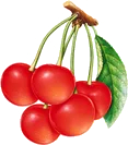 Cherry Valley Marketplace logo