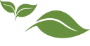 Green's Natural Foods logo