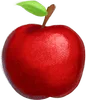 Shady Cove Market logo