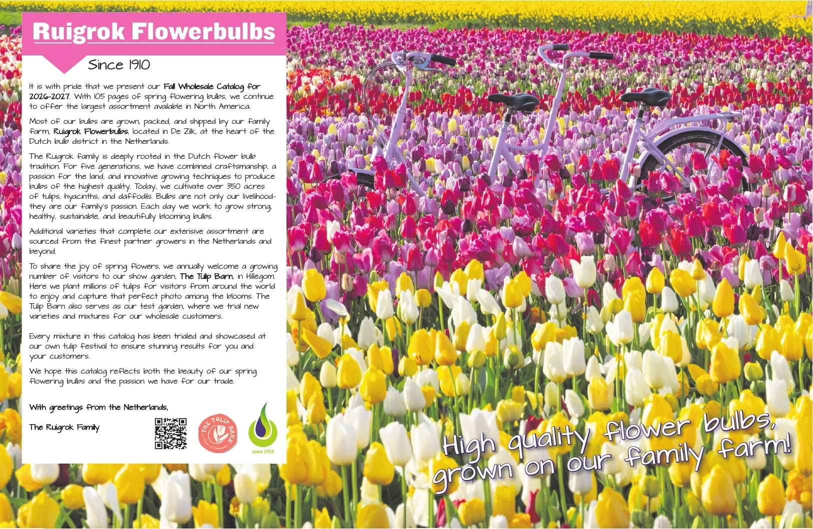 A.D.R. Bulbs flyer page 3