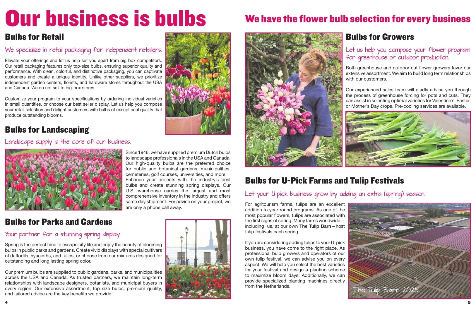 A.D.R. Bulbs flyer page 4