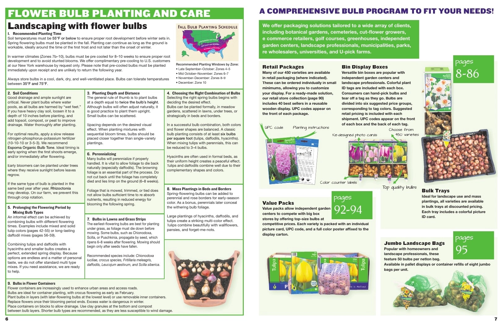 A.D.R. Bulbs flyer page 5
