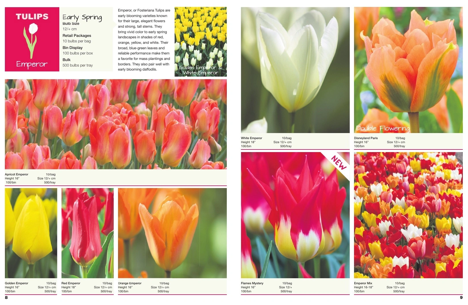 A.D.R. Bulbs flyer page 6