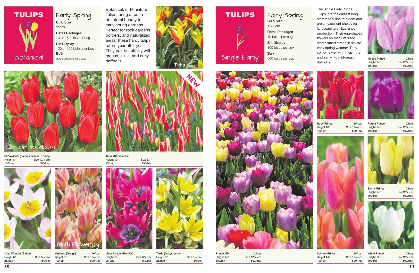 A.D.R. Bulbs flyer page 7