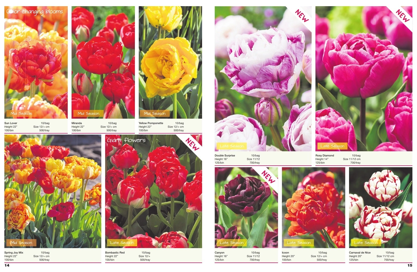 A.D.R. Bulbs flyer page 9