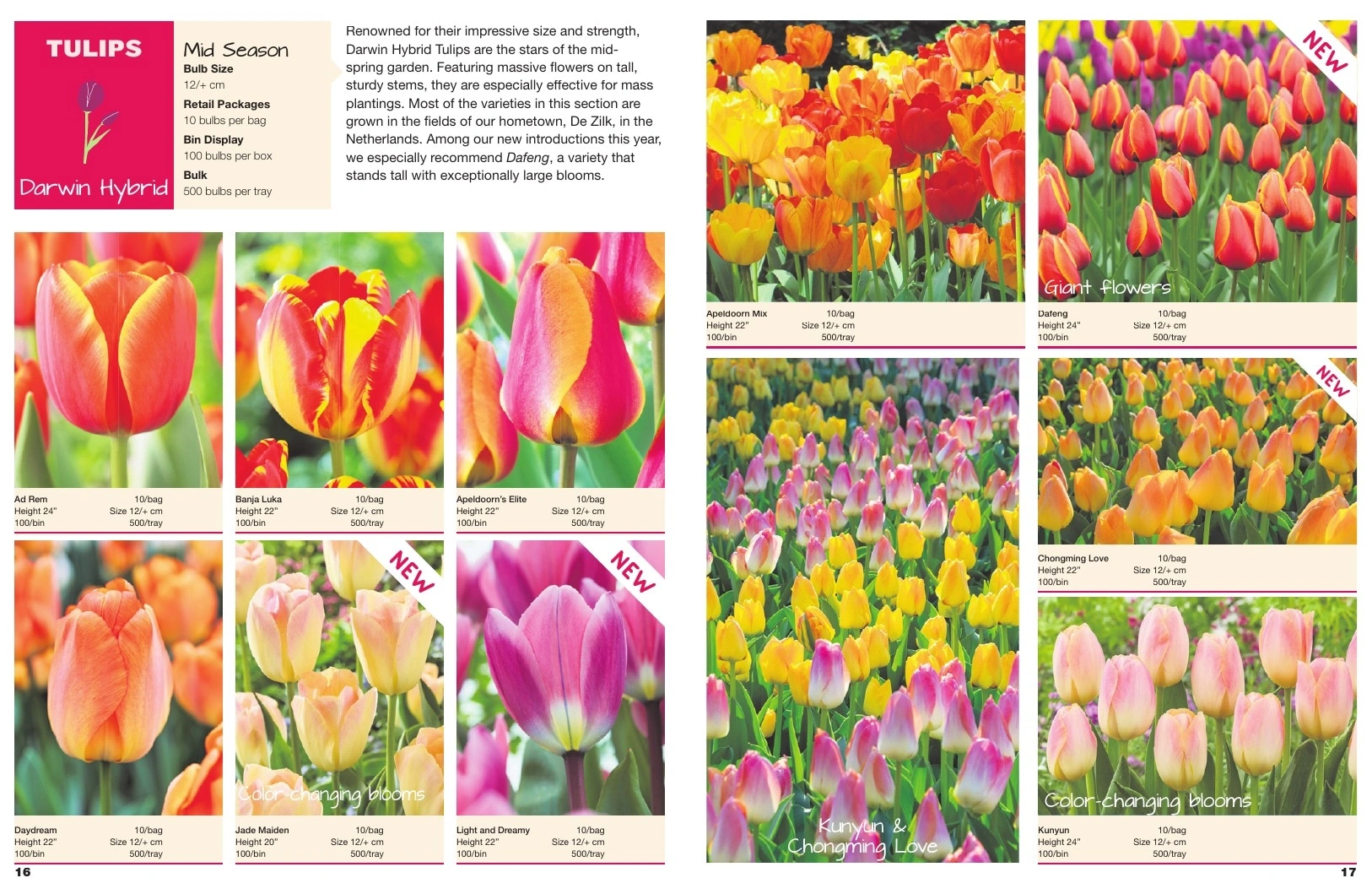 A.D.R. Bulbs flyer page 10