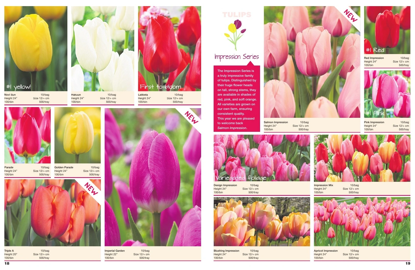 A.D.R. Bulbs flyer page 11