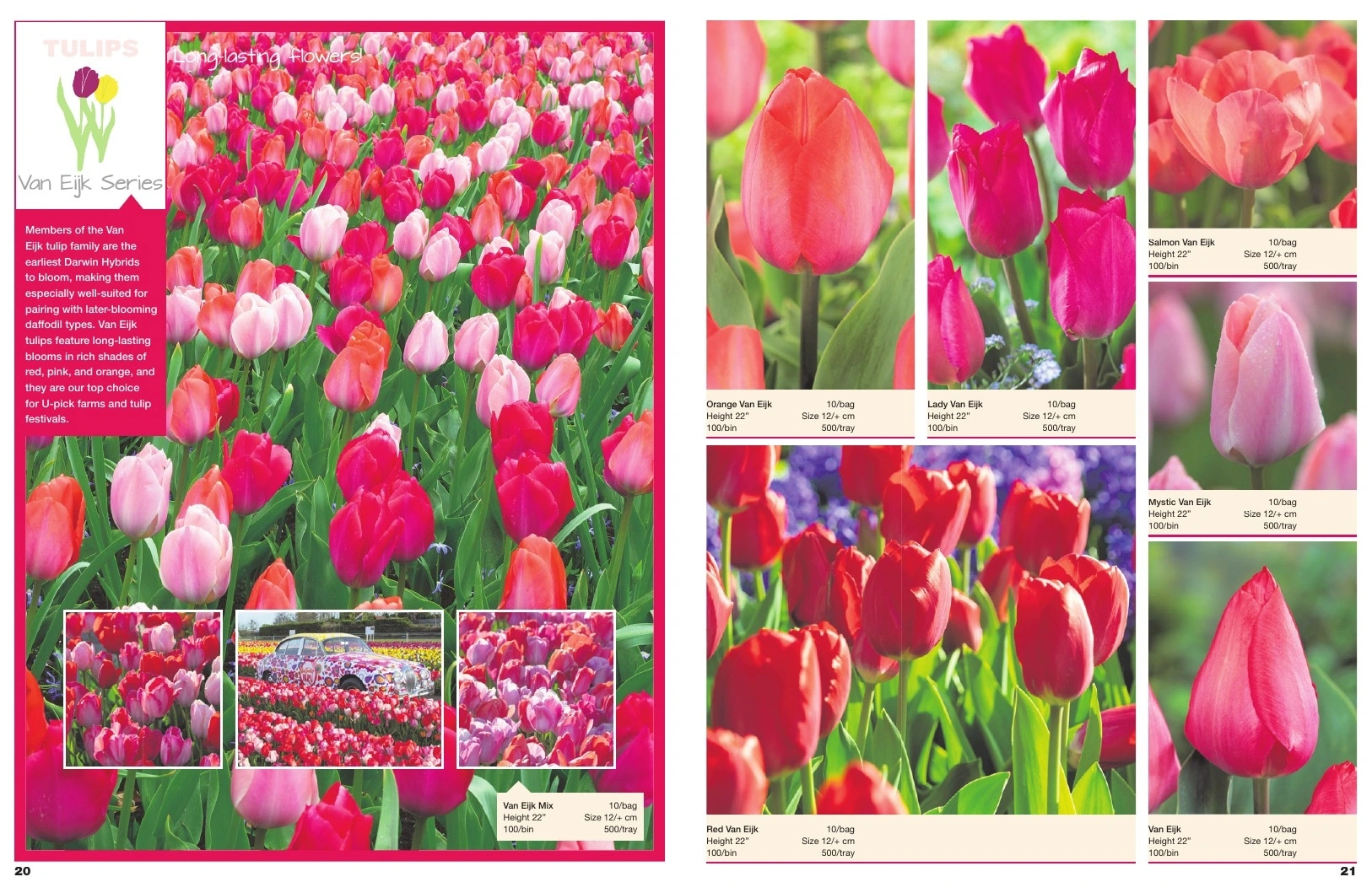 A.D.R. Bulbs flyer page 12