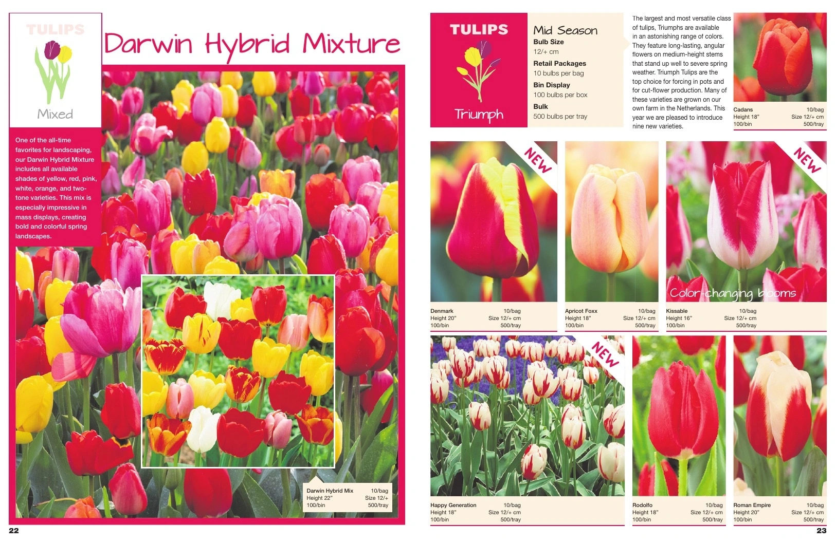 A.D.R. Bulbs flyer page 13