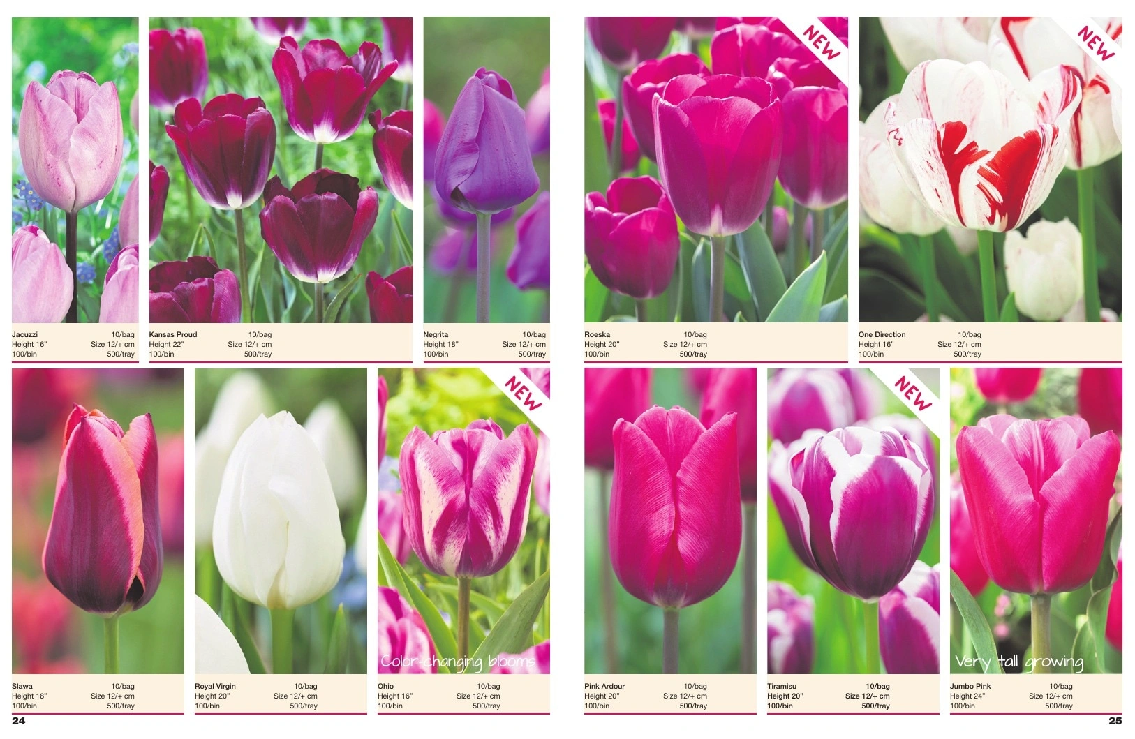 A.D.R. Bulbs flyer page 14