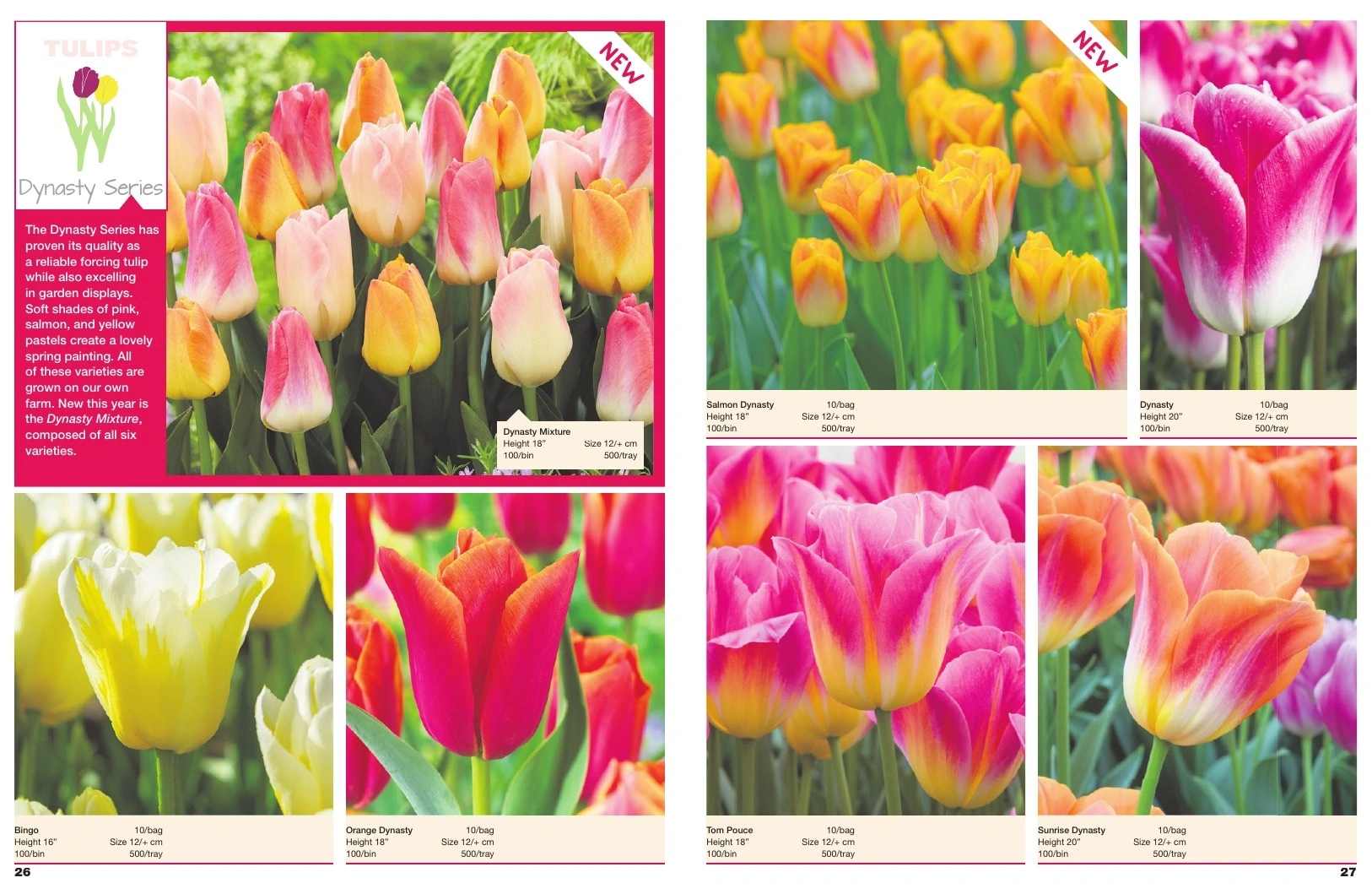 A.D.R. Bulbs flyer page 15