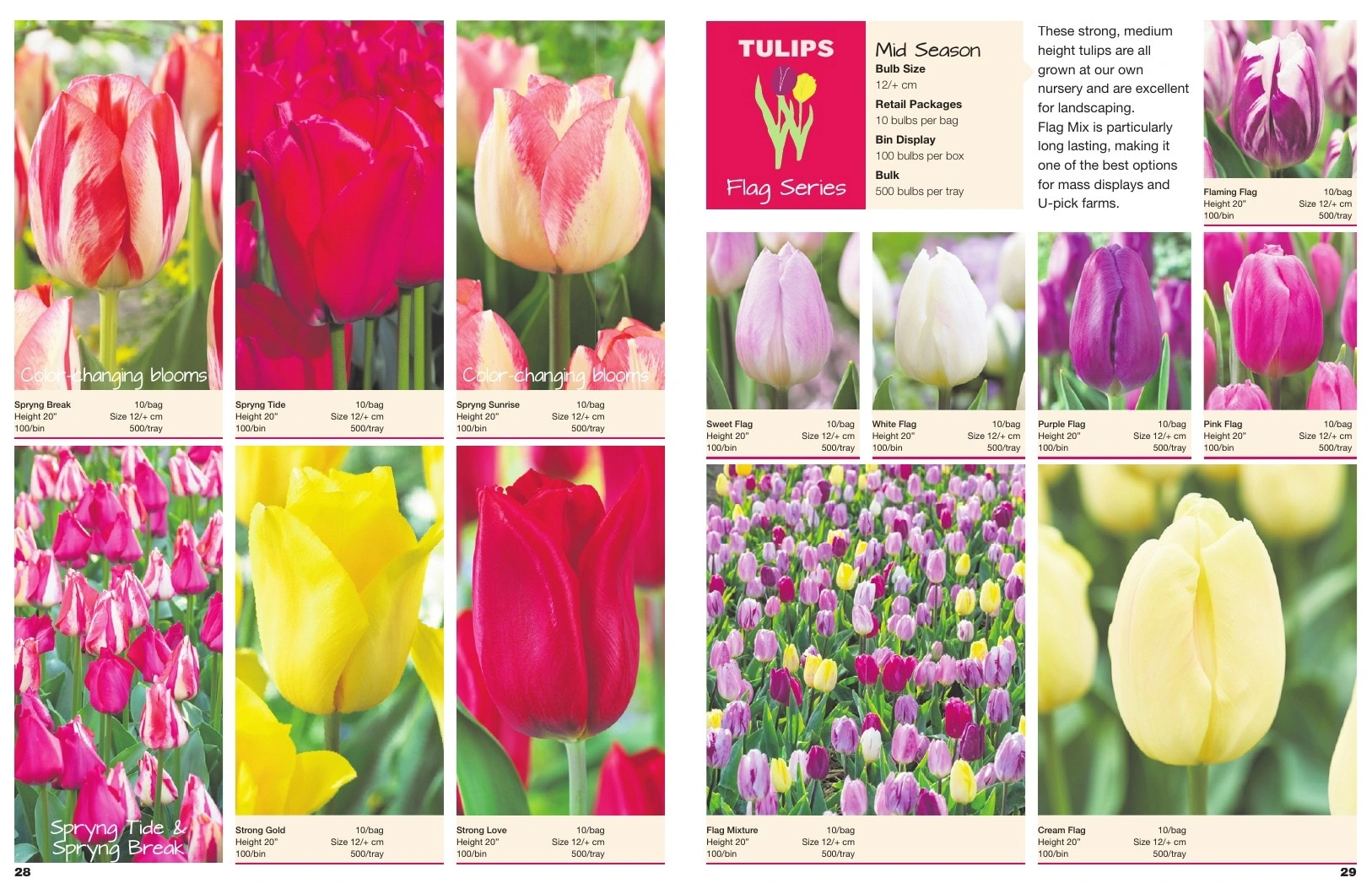 A.D.R. Bulbs flyer page 16