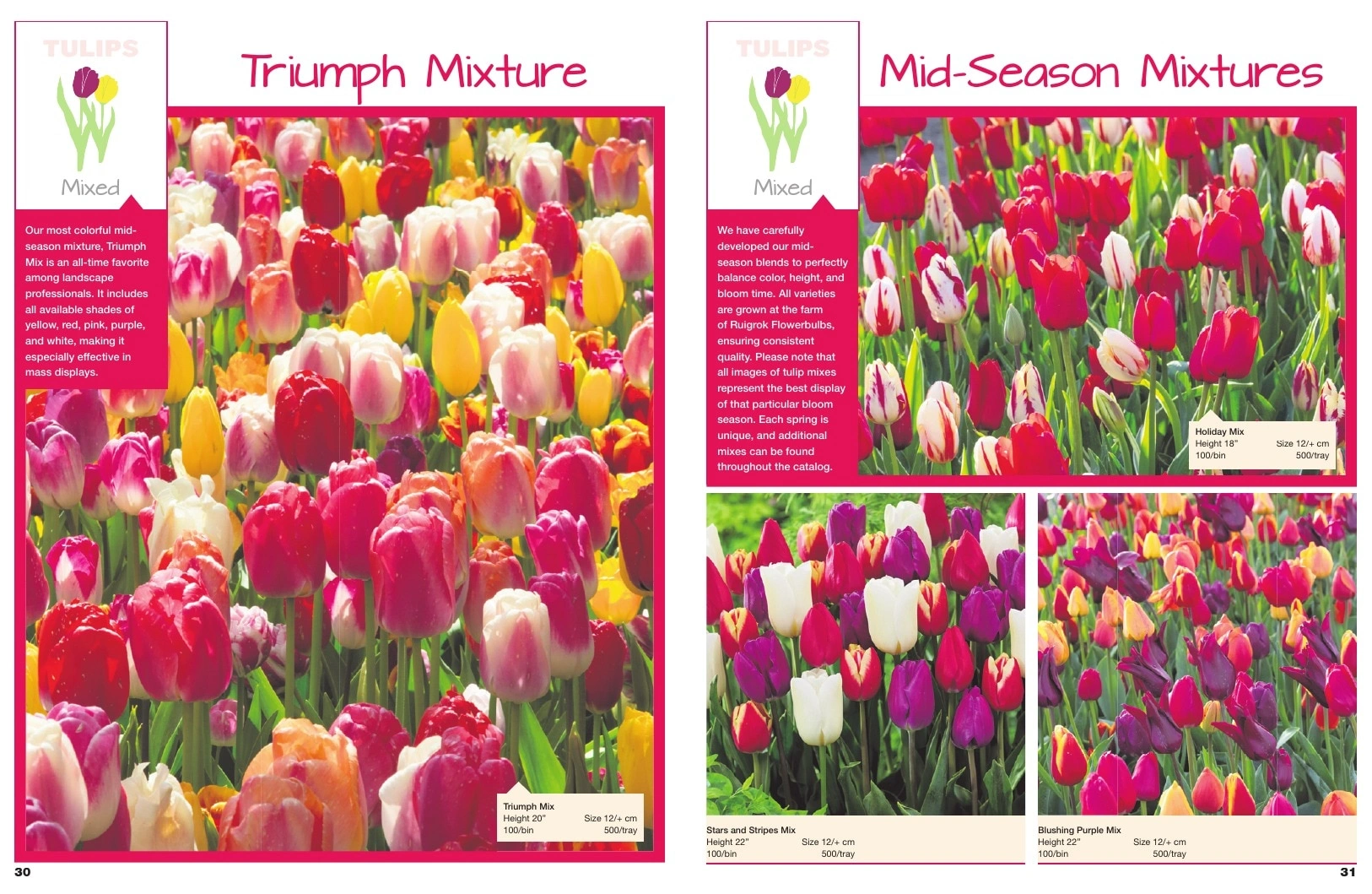 A.D.R. Bulbs flyer page 17