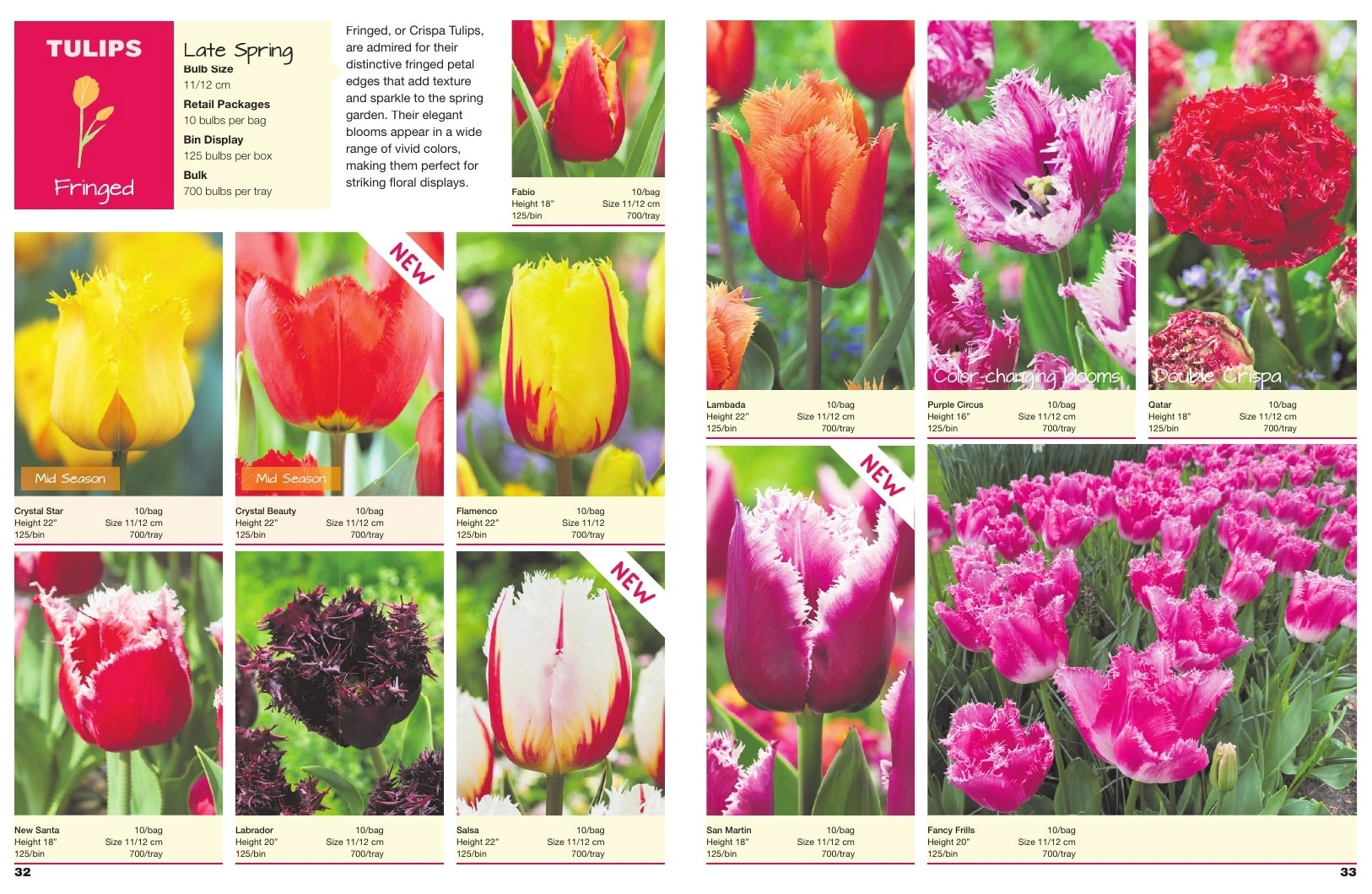 A.D.R. Bulbs flyer page 18