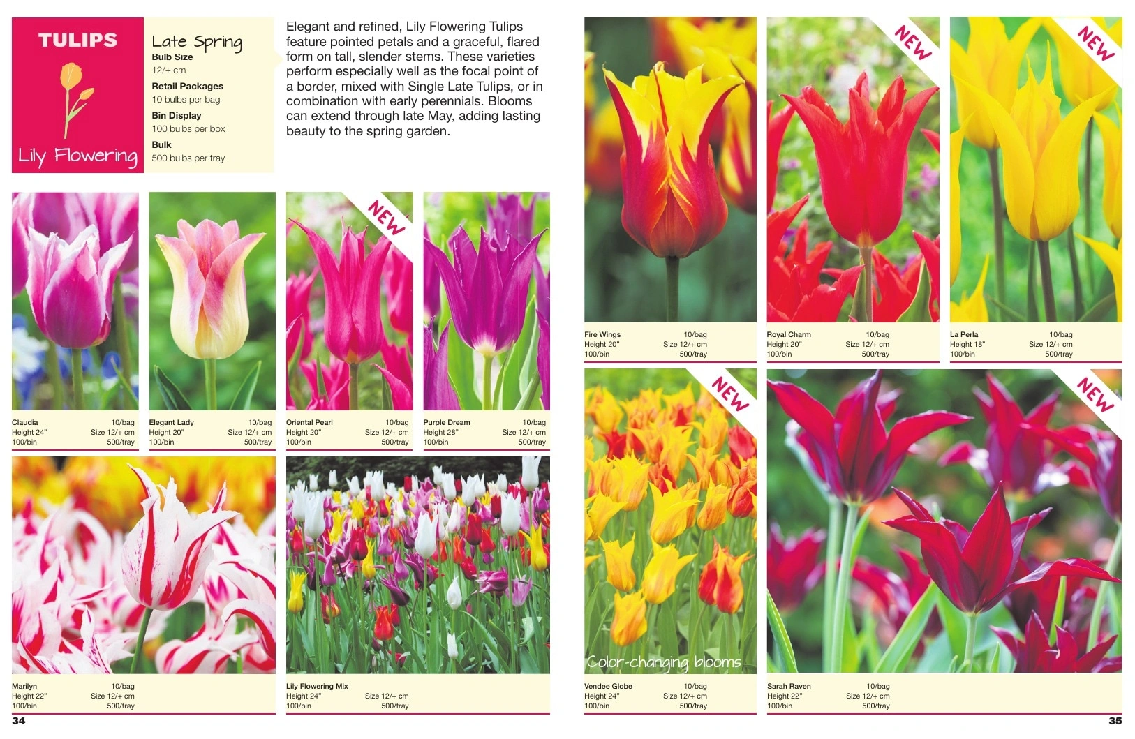 A.D.R. Bulbs flyer page 19