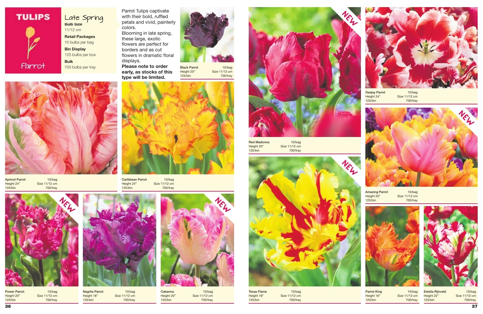 A.D.R. Bulbs flyer page 20