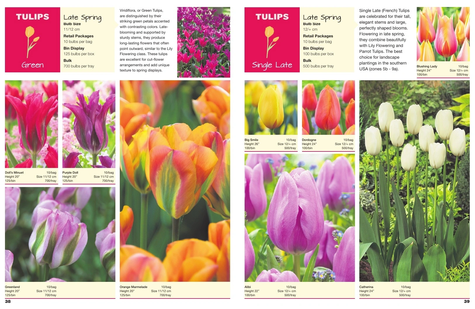 A.D.R. Bulbs flyer page 21