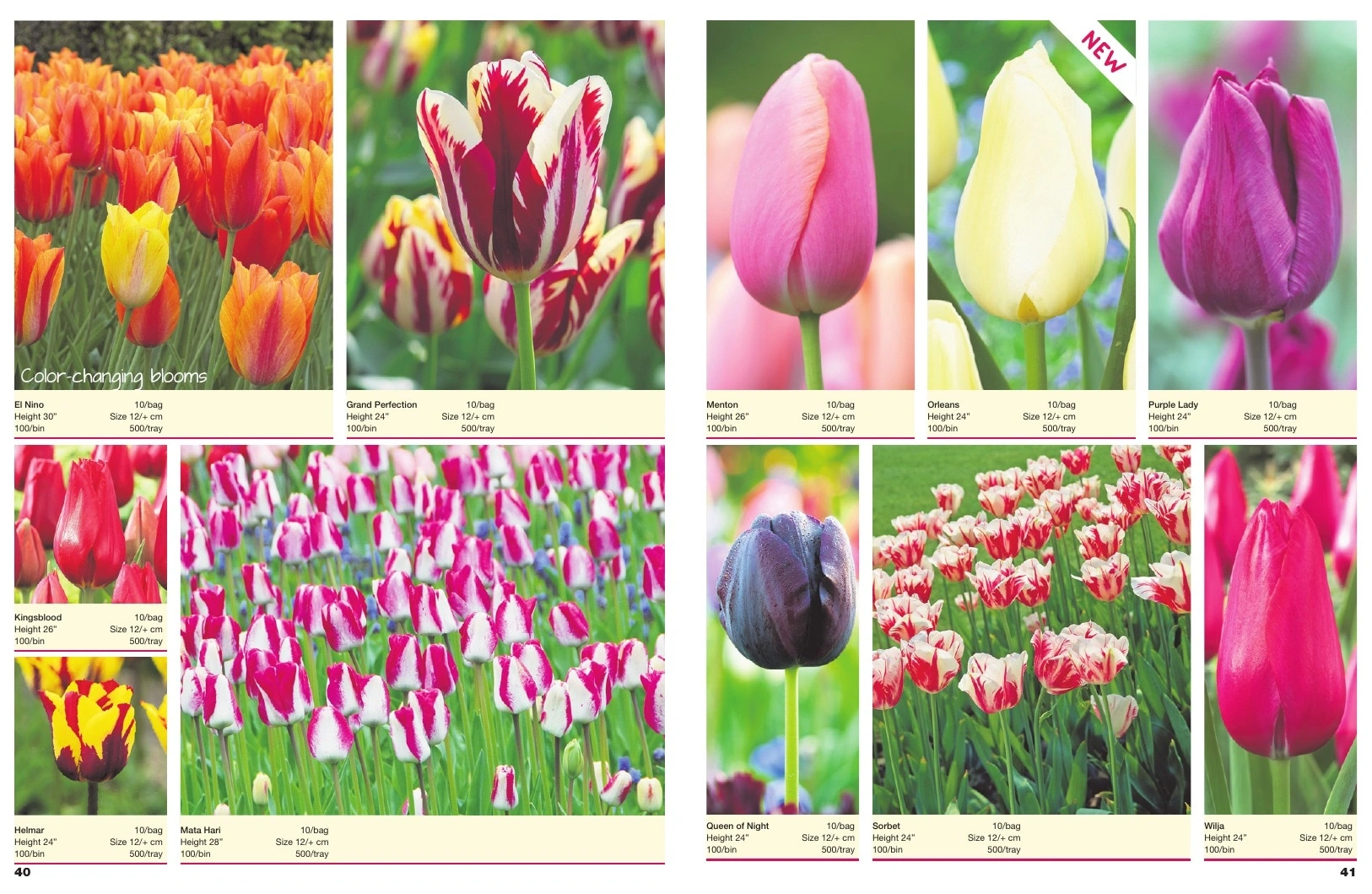 A.D.R. Bulbs flyer page 22
