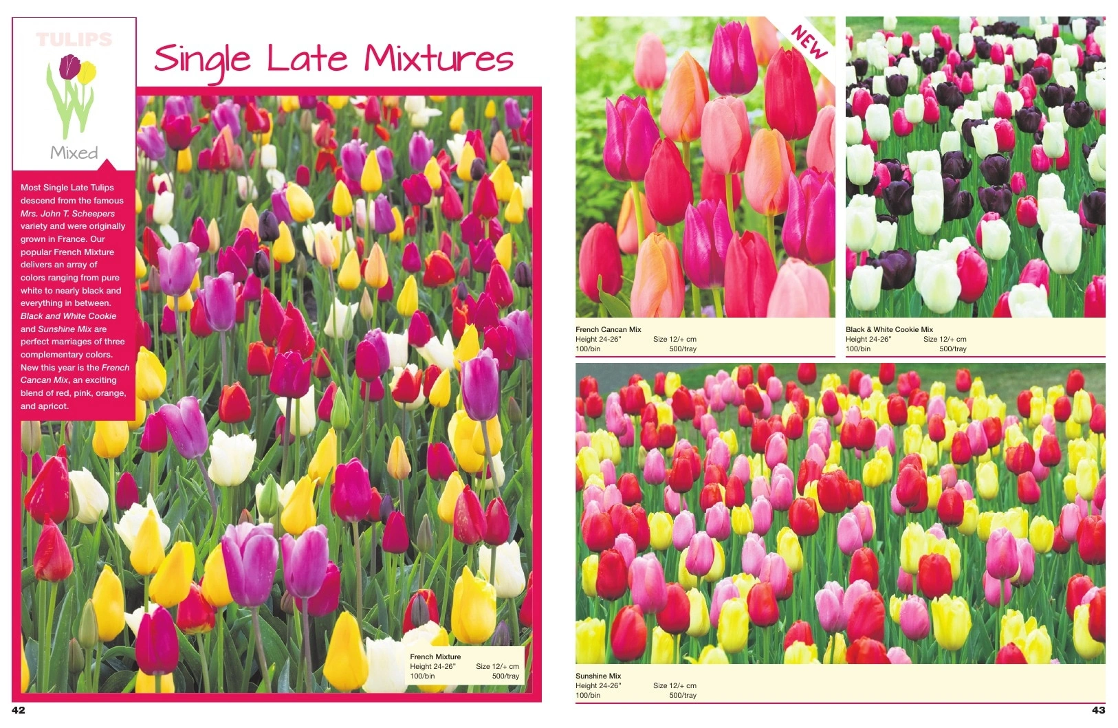 A.D.R. Bulbs flyer page 23