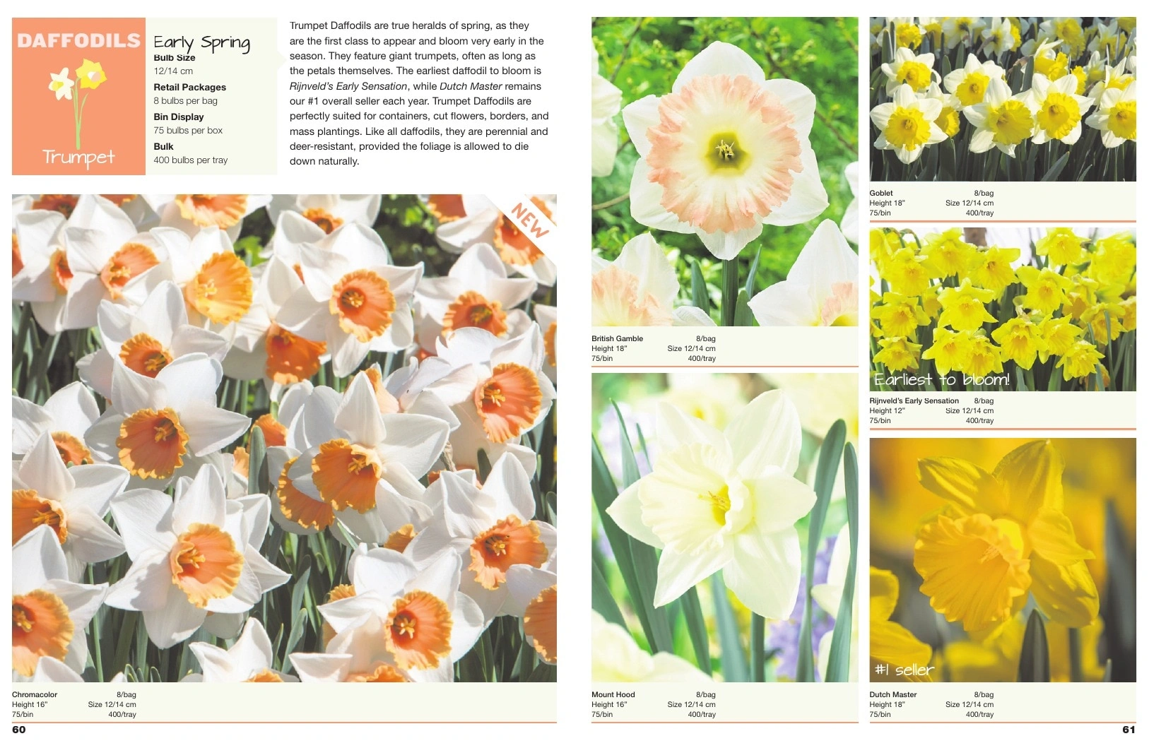 A.D.R. Bulbs flyer page 32