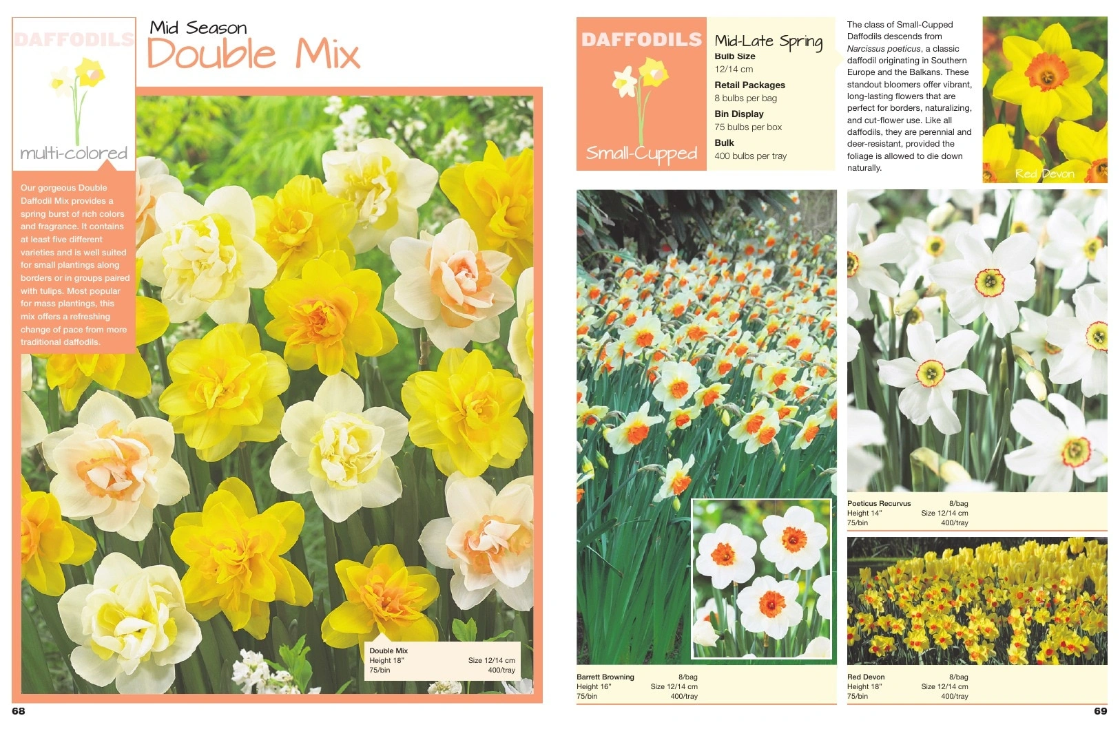 A.D.R. Bulbs flyer page 36