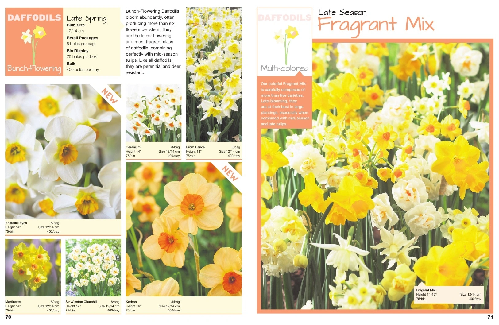 A.D.R. Bulbs flyer page 37