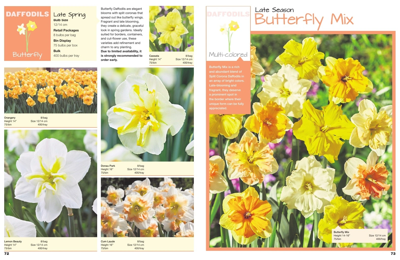 A.D.R. Bulbs flyer page 38