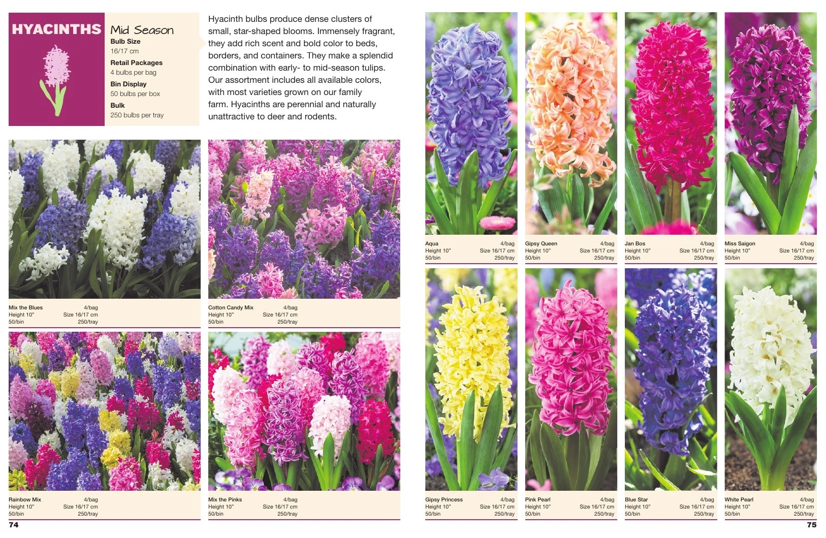 A.D.R. Bulbs flyer page 39
