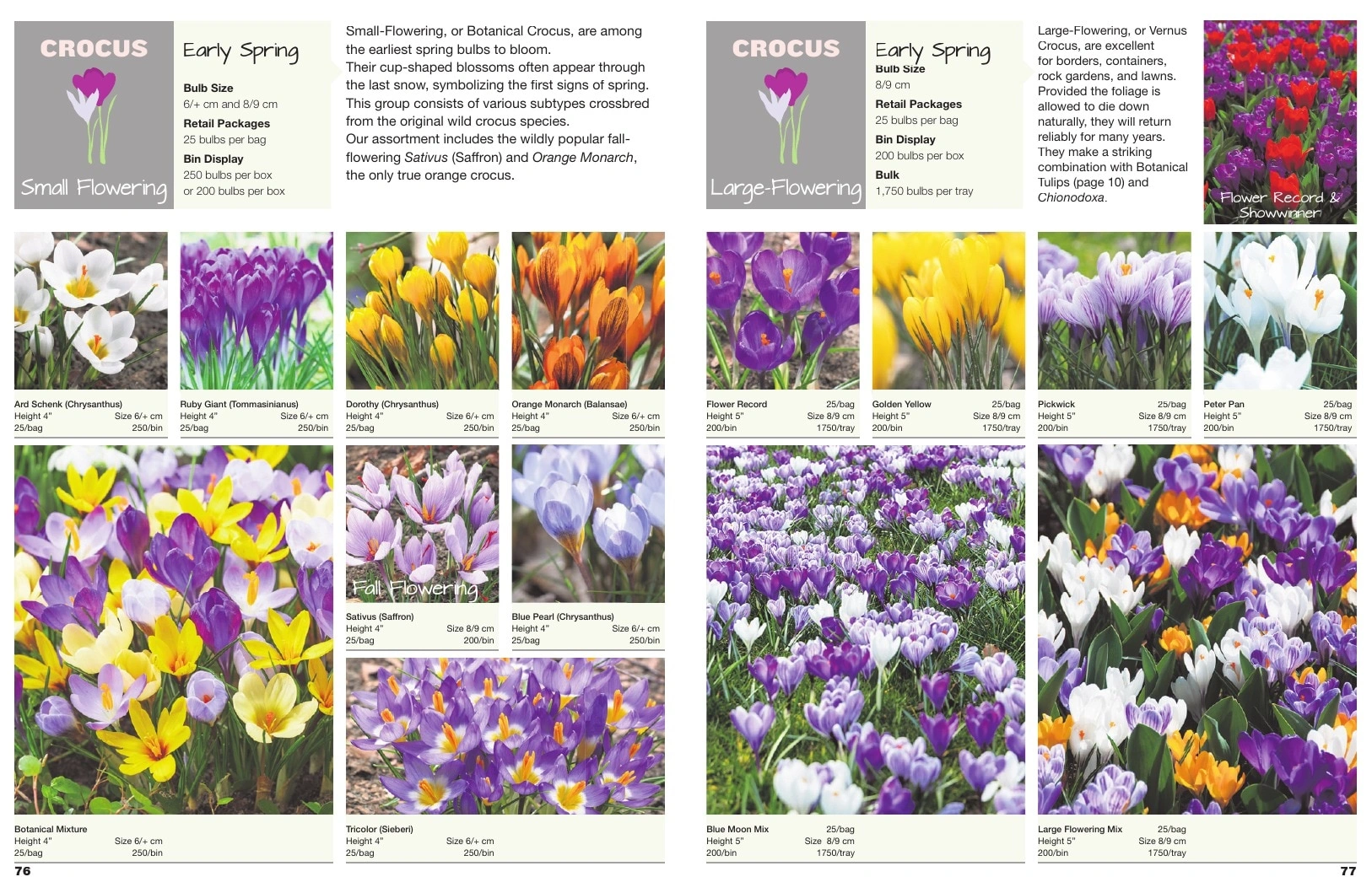 A.D.R. Bulbs flyer page 40